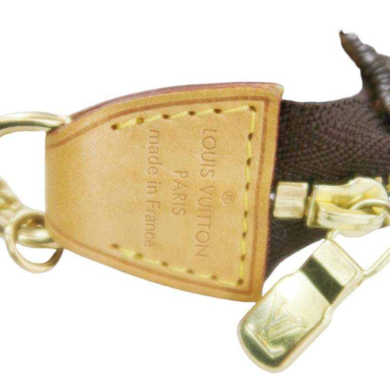 Louis Vuitton (LV) Monogram Mini Pochette Accessories
