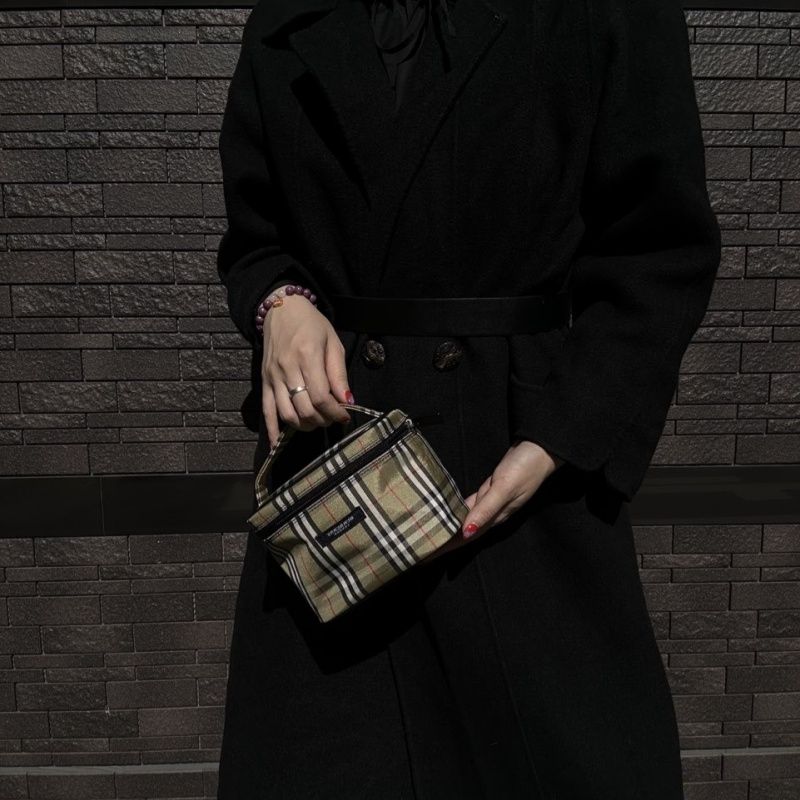 BURBERRY Brown Fabric Pouch (Cosmetic Bag/Handbag)