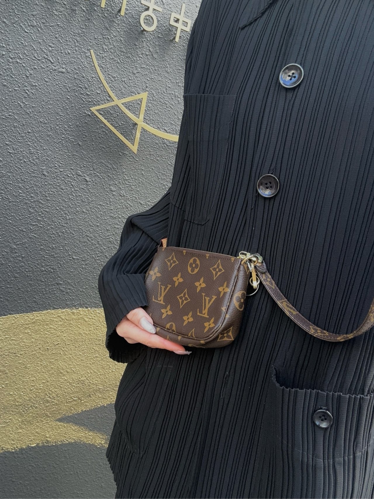 Louis Vuitton Monogram PVC Mini Pochette Accessoires