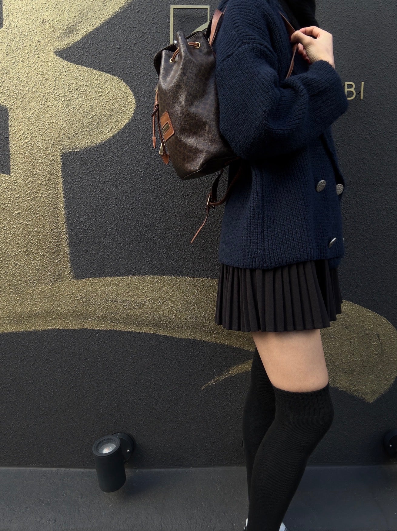 CELINE Macadam Backpack Brown