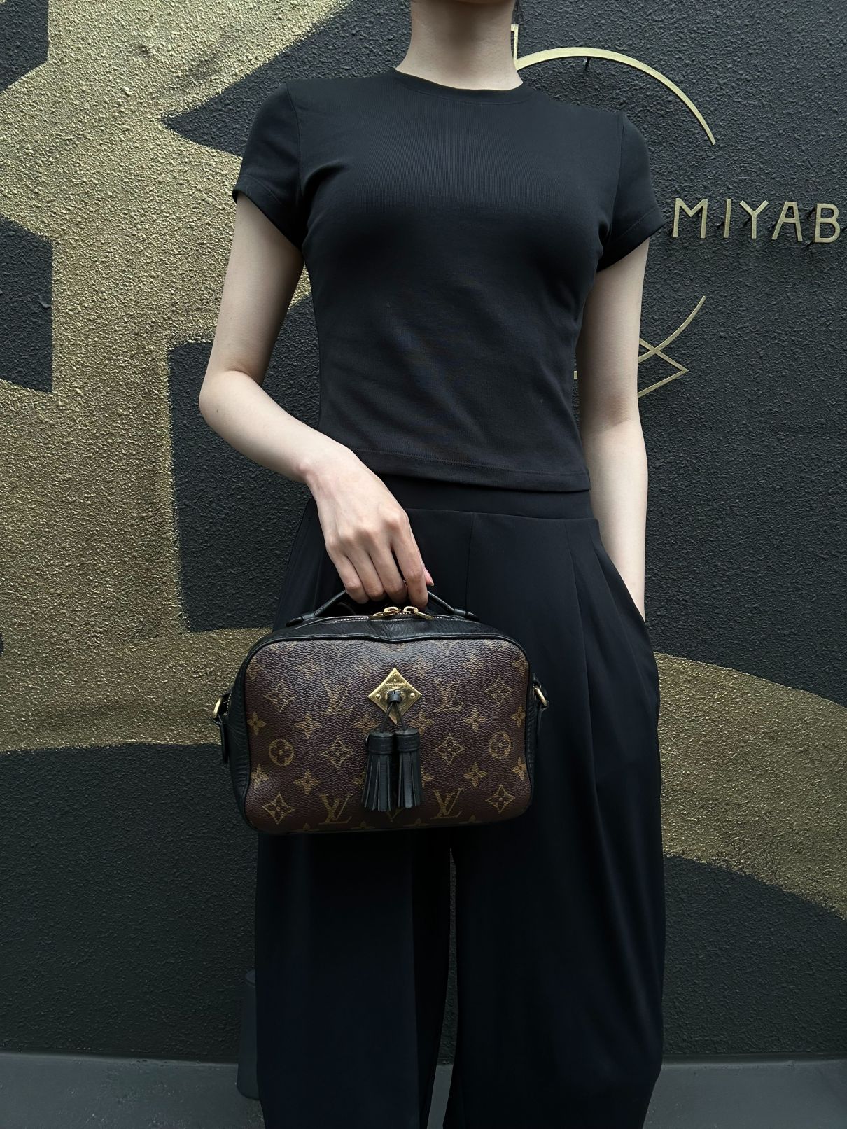 LOUIS VUITTON LV Saintonge Monogram Noir Tassel Camera Shoulder Bag Brown PVC