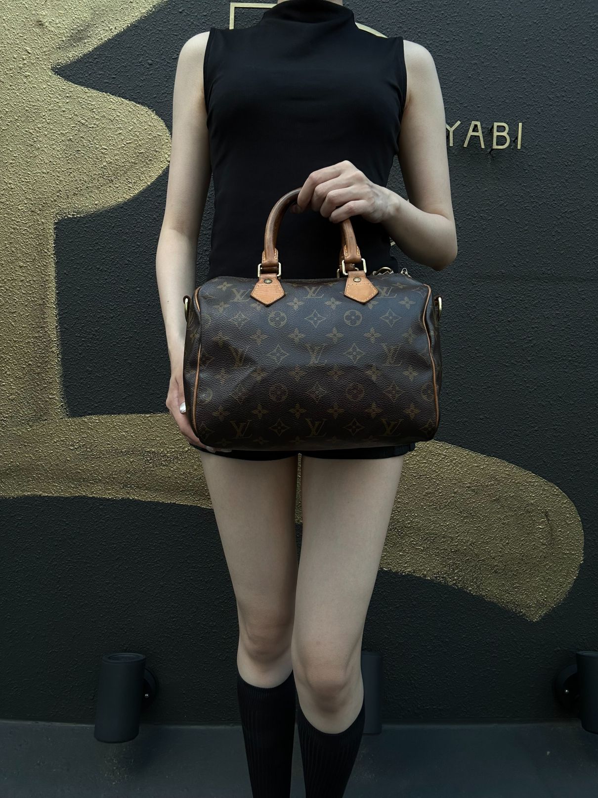 LOUIS VUITTON Monogram Canvas Brown Speedy Top Handle Bag