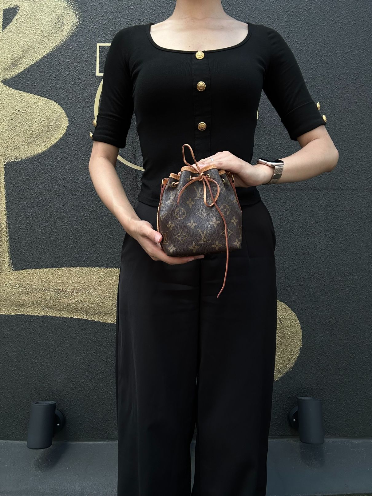 LOUIS VUITTON Monogram Canvas Brown Nano Noe Shumai Shape Shoulder Bag