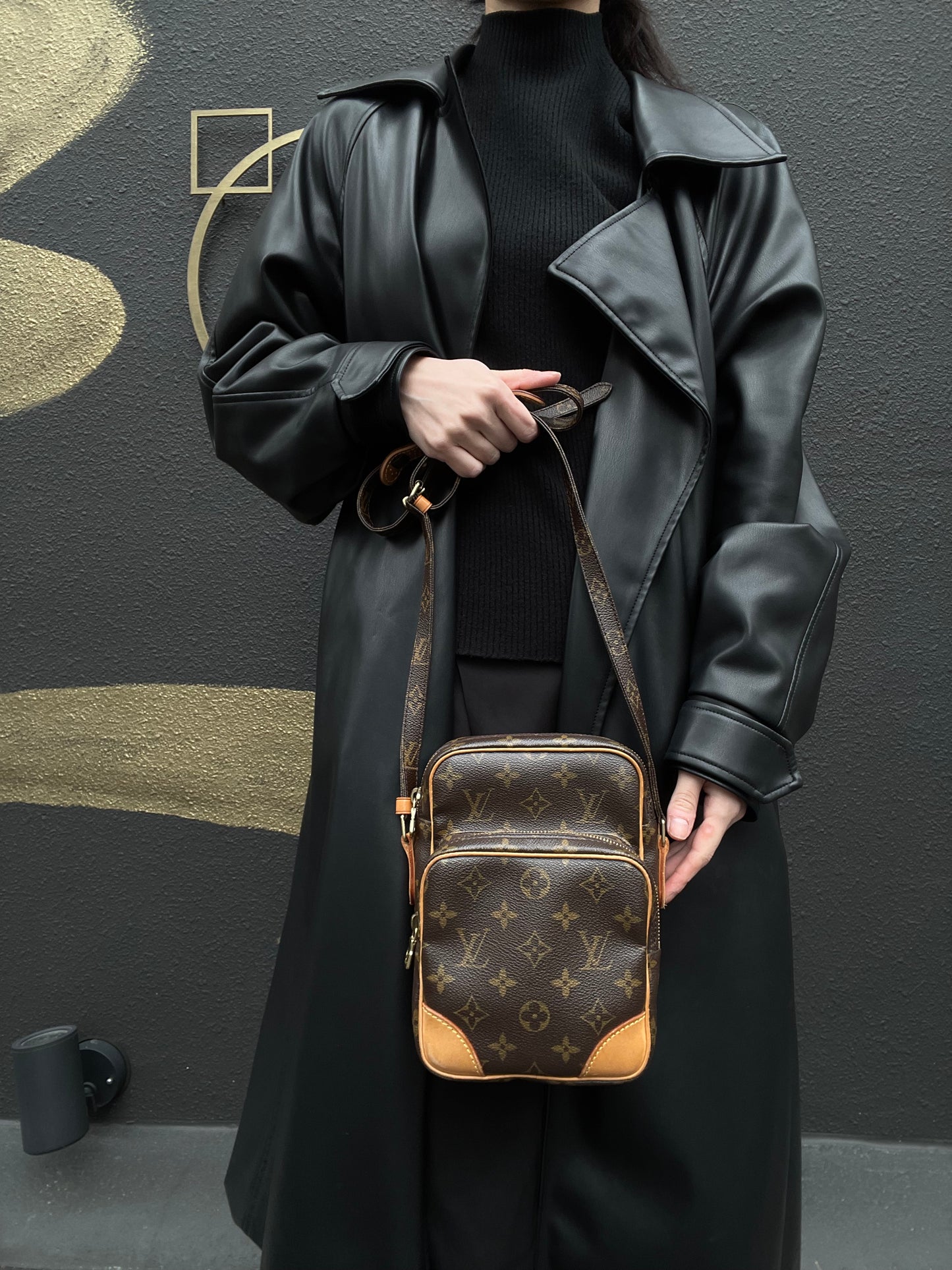 LOUIS VUITTON Monogram Amazon Shoulder Bag