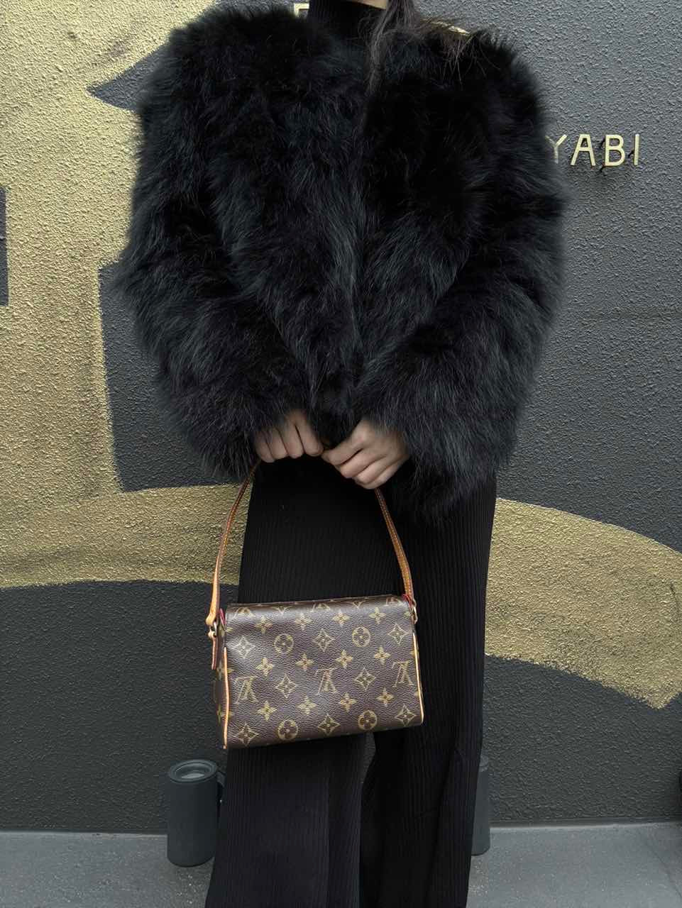 LOUIS VUITTON Monogram PVC Pochette Recital (Beisong Box / Underarm Bag)