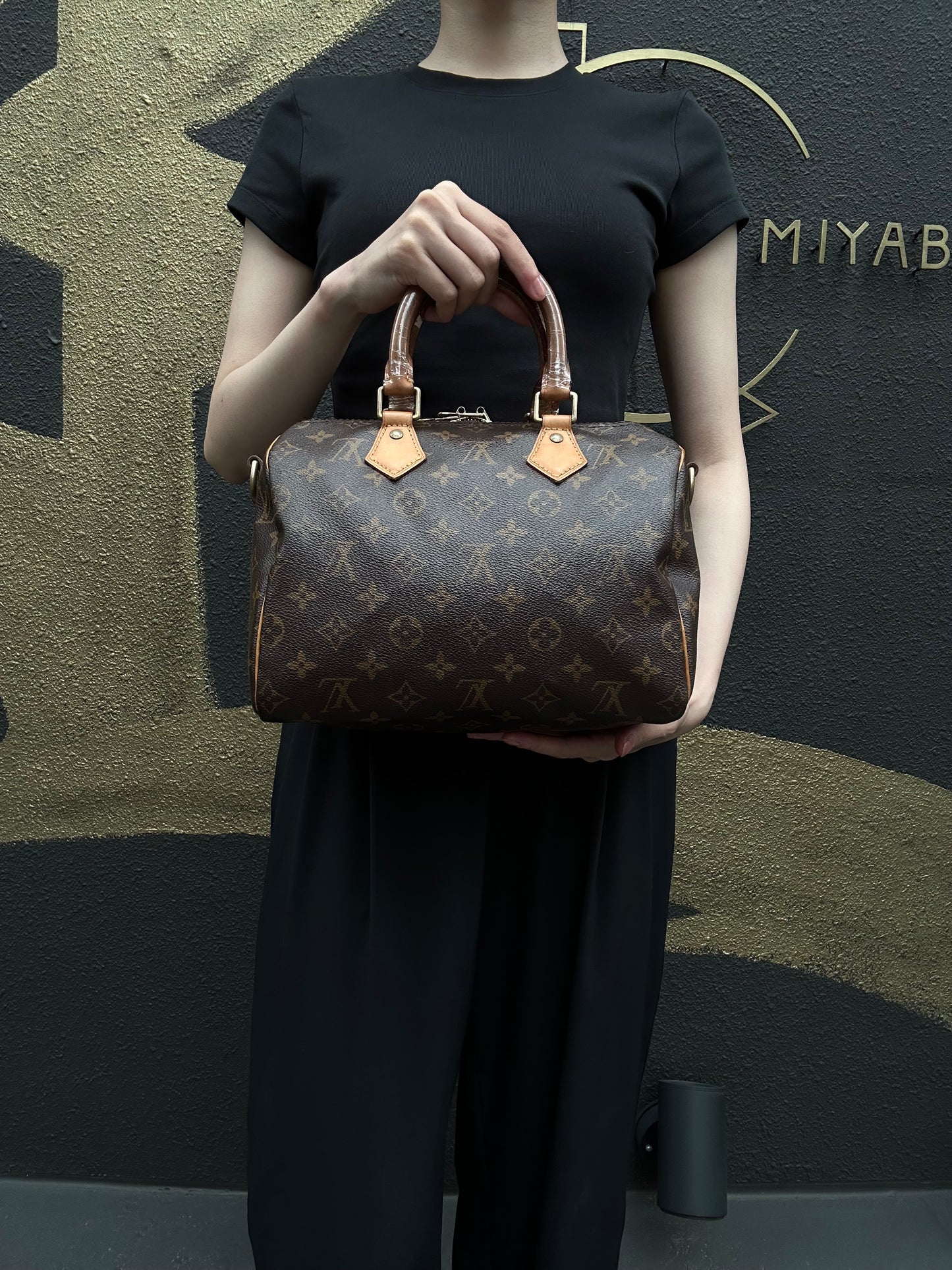 LOUIS VUITTON LV Nano Speedy Monogram Canvas With Shoulder Strap Handbag Brown PVC