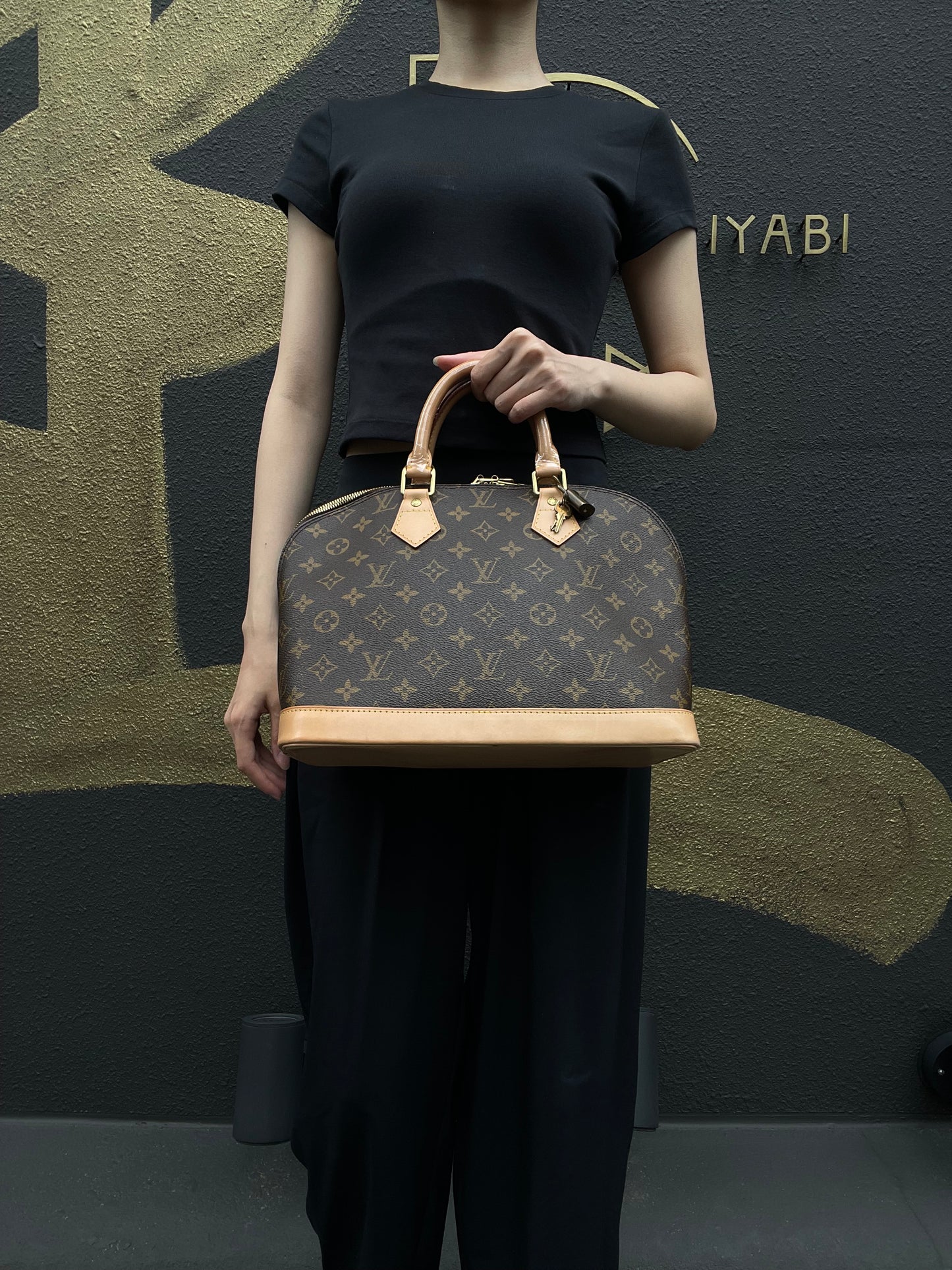 LOUIS VUITTON LV Monogram PVC Alma Handbag Brown
