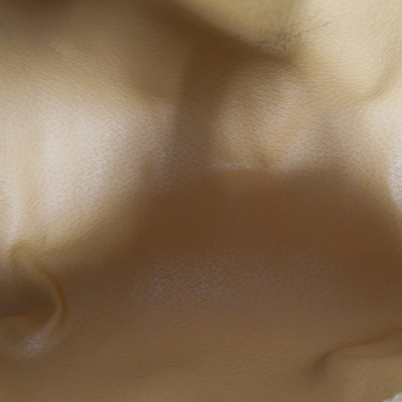 CELINE Macadam Handbag Brown Gold Hardware CELINE Monogram PVC Papillon Handbag