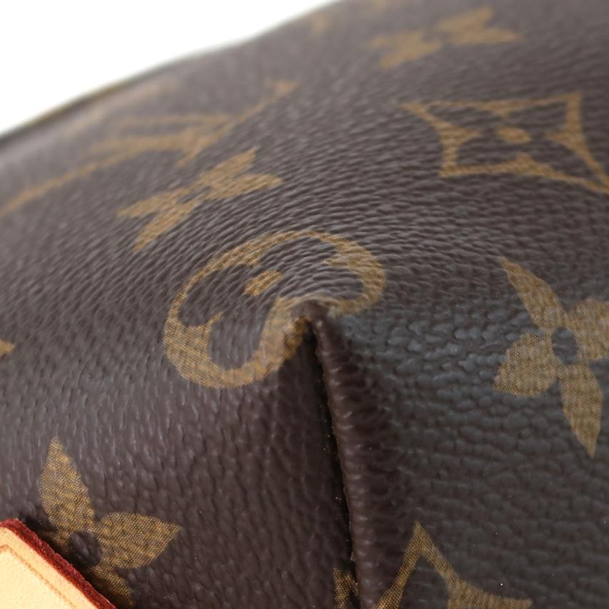 LV Vuitton Monogram Pochette Cosmetique, Pouch (Clutch Style)