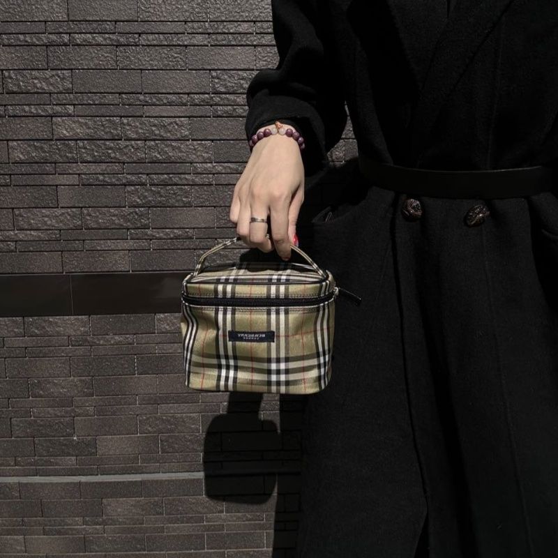 BURBERRY Brown Fabric Pouch (Cosmetic Bag/Handbag)