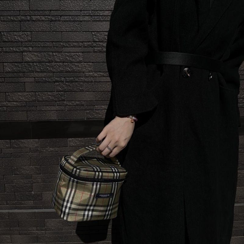 BURBERRY Brown Fabric Pouch (Cosmetic Bag/Handbag)