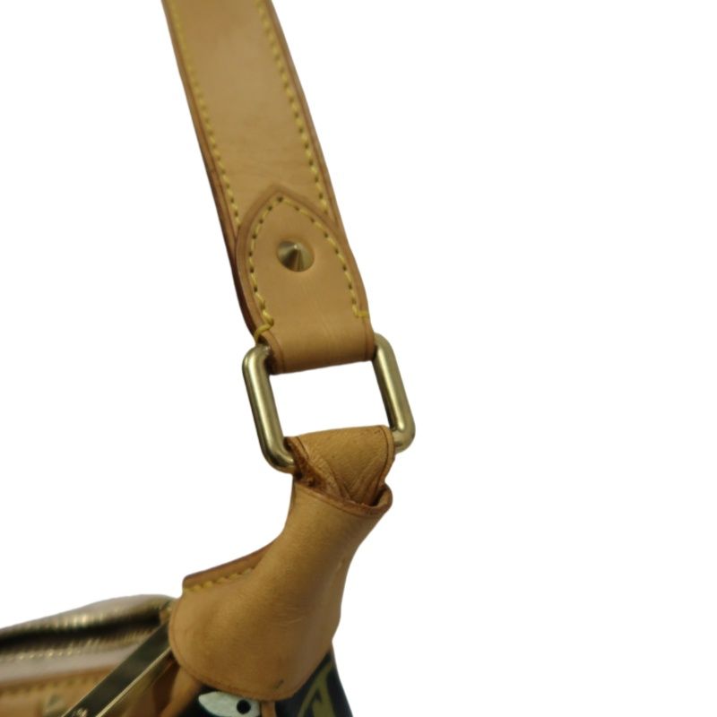 LOUIS VUITTON (LV) Multicolore Blois Black Shoulder Bag with Gold Hardware
