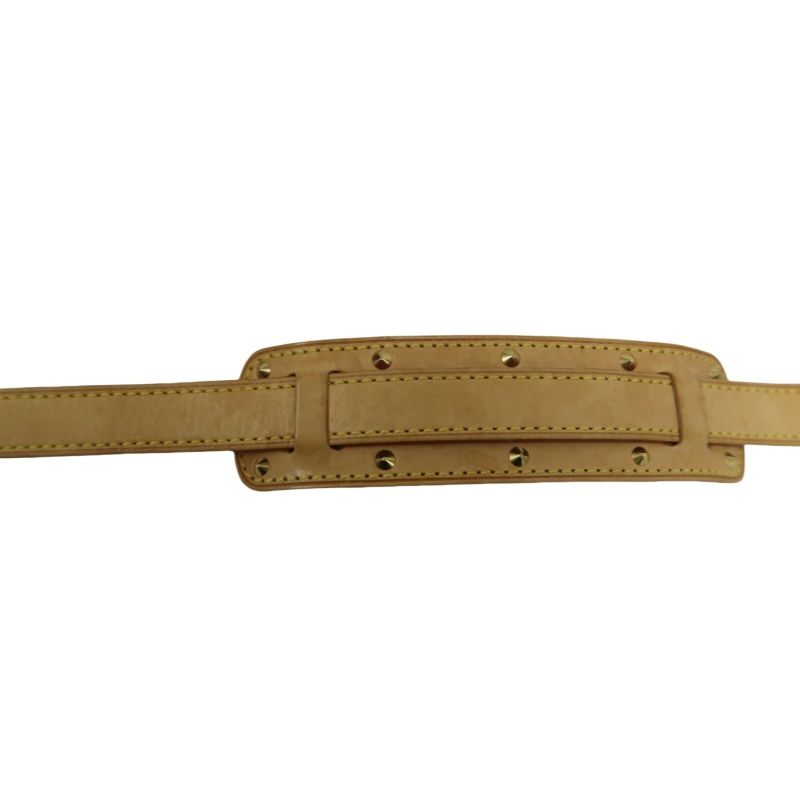 LOUIS VUITTON (LV) Multicolore Sologne White Crossbody Bag with Gold Hardware