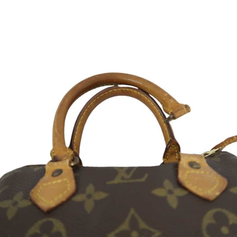 Louis Vuitton Monogram PVC Nano Speedy Handbag