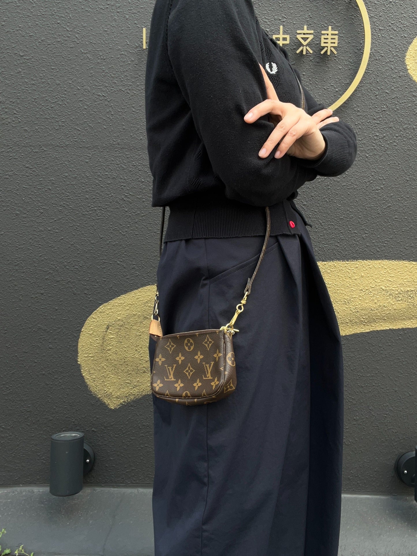 Louis Vuitton Monogram PVC Mini Pochette Accessoires