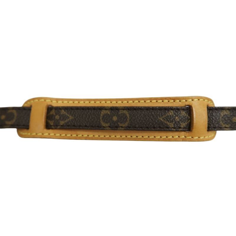 Louis Vuitton Danube Monogram Canvas Shoulder Crossbody Bag