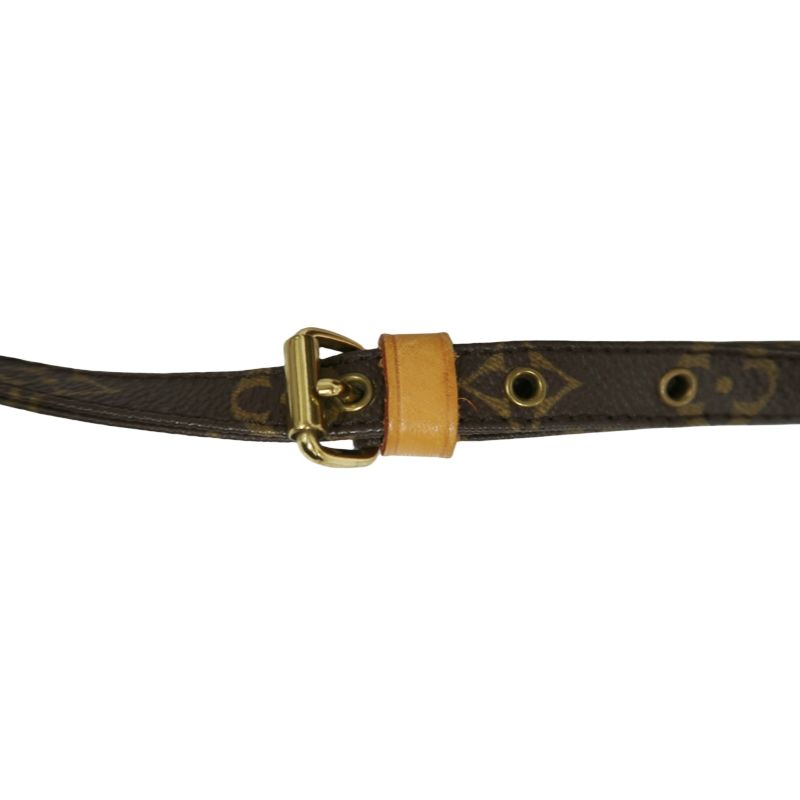 Louis Vuitton Danube Monogram Canvas Shoulder Crossbody Bag