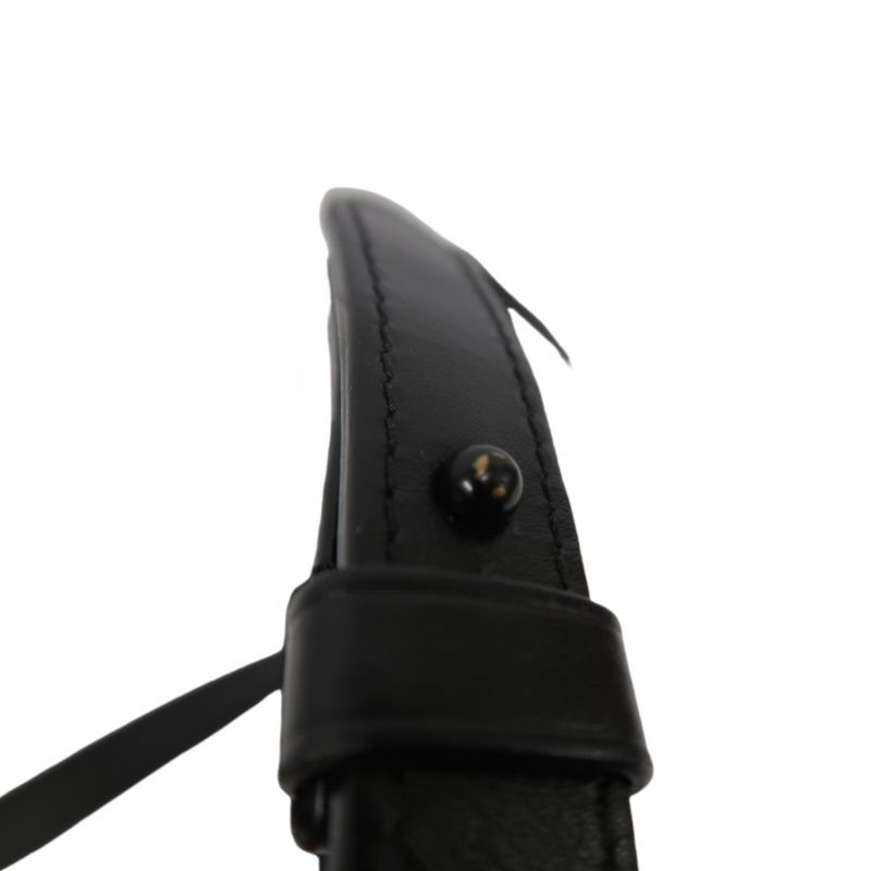 LOUIS VUITTON Soft Trunk Triyon Black Monogram Coated Canvas Crossbody Bag