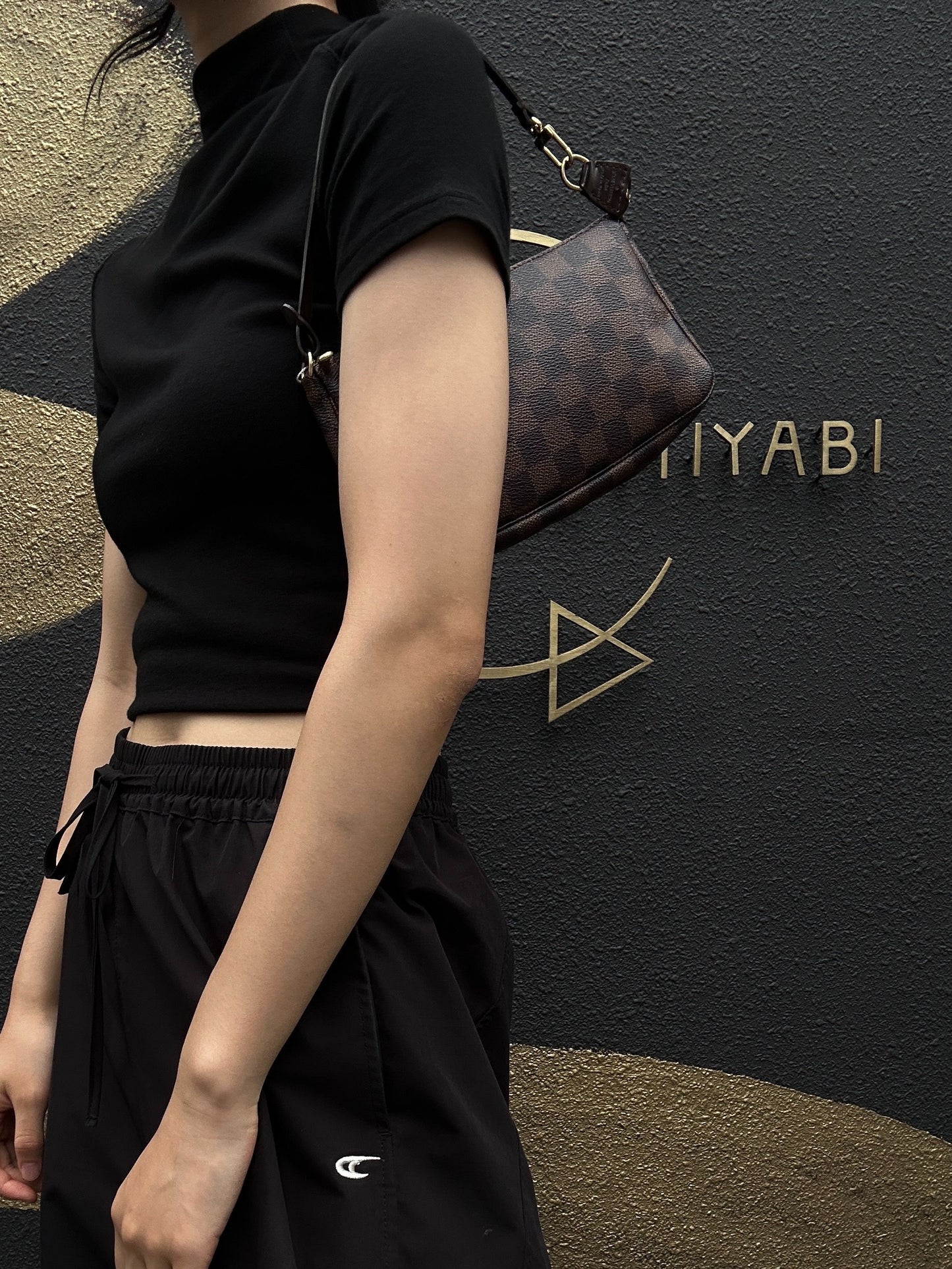 LOUIS VUITTON Pochette Accessoires Damier Brown Pouch - Coated Canvas