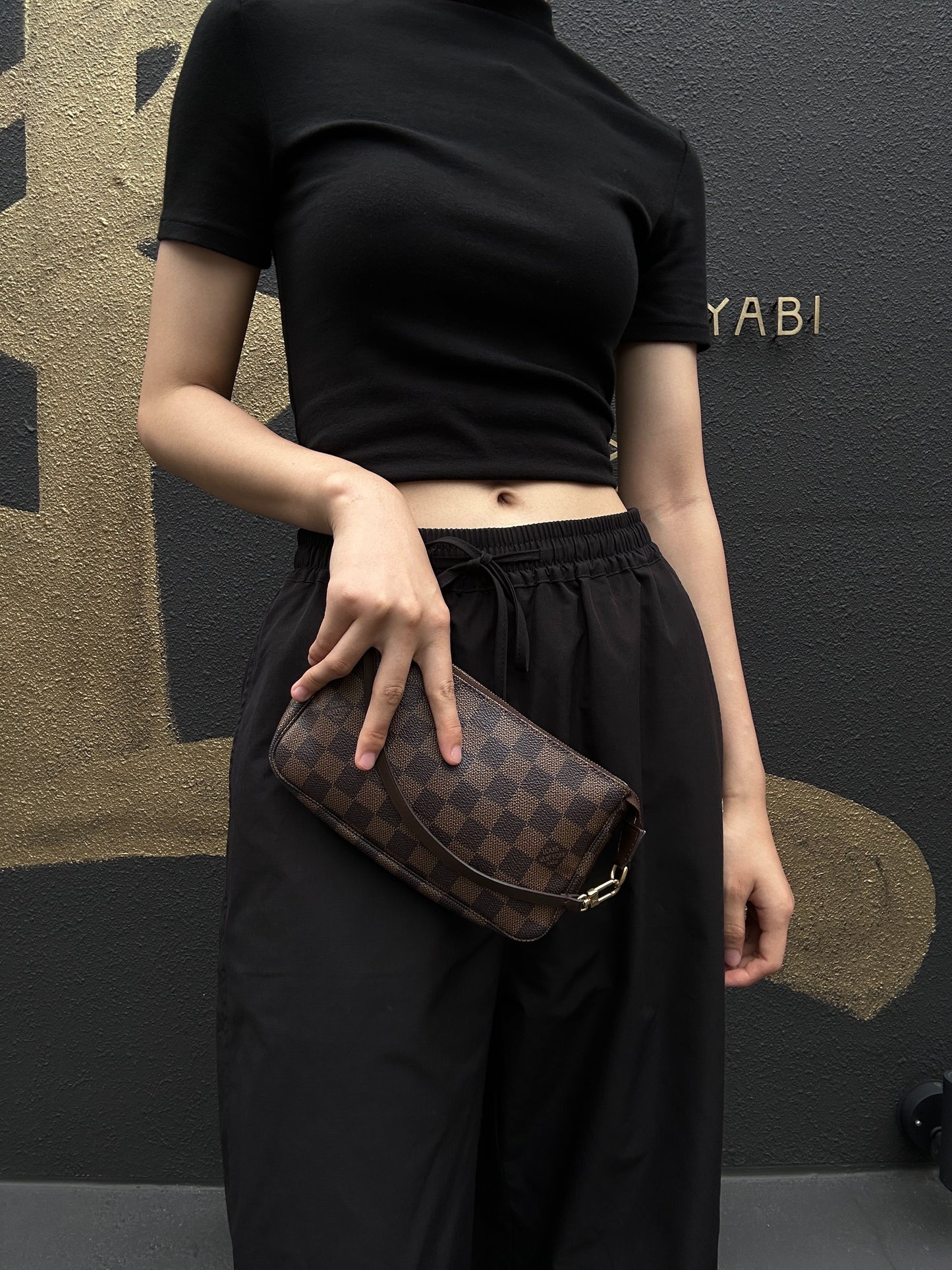 LOUIS VUITTON Pochette Accessoires Damier Brown Pouch - Coated Canvas