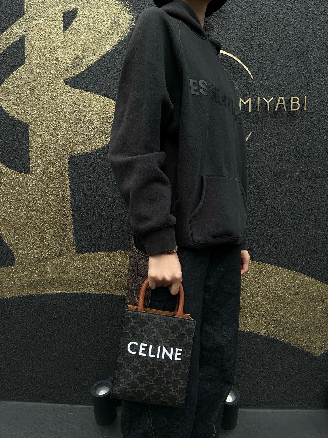 CELINE Mini Vertical Triomphe Handbag, Calfskin/Coated Canvas, Brown, Dust Bag Included