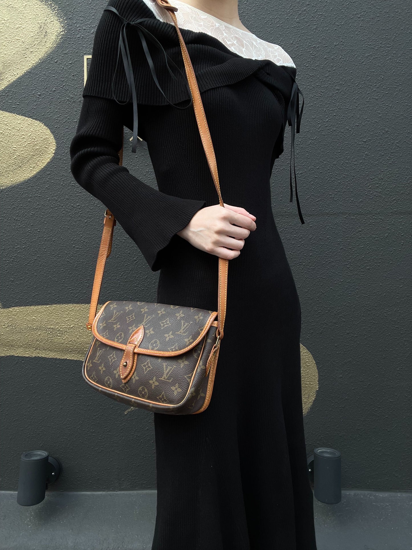 LOUIS VUITTON  Monogram PVC Baguette Crossbody Bag