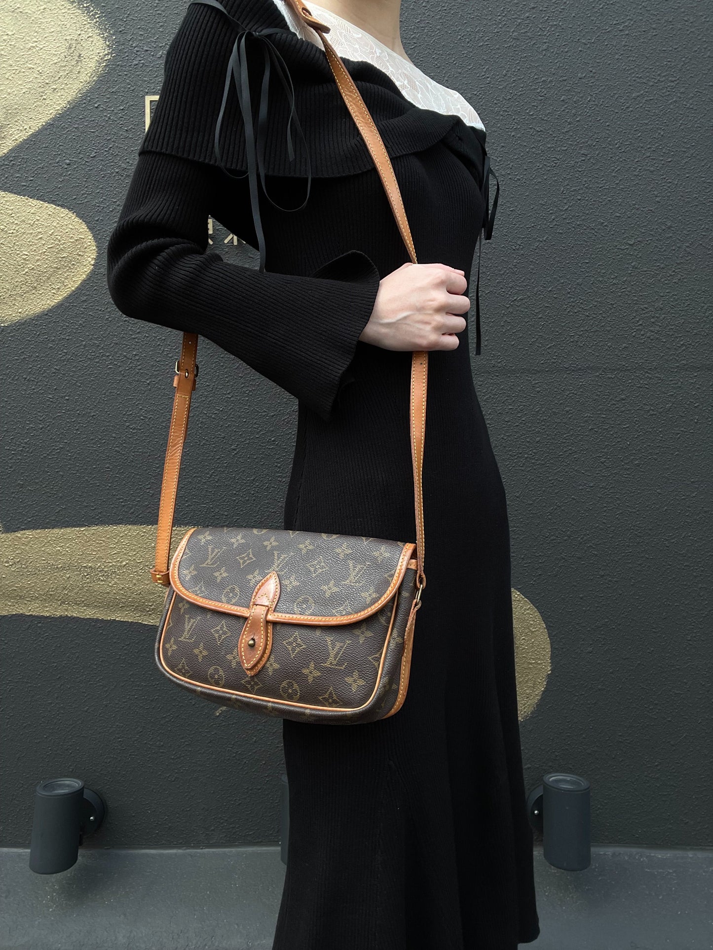 LOUIS VUITTON  Monogram PVC Baguette Crossbody Bag