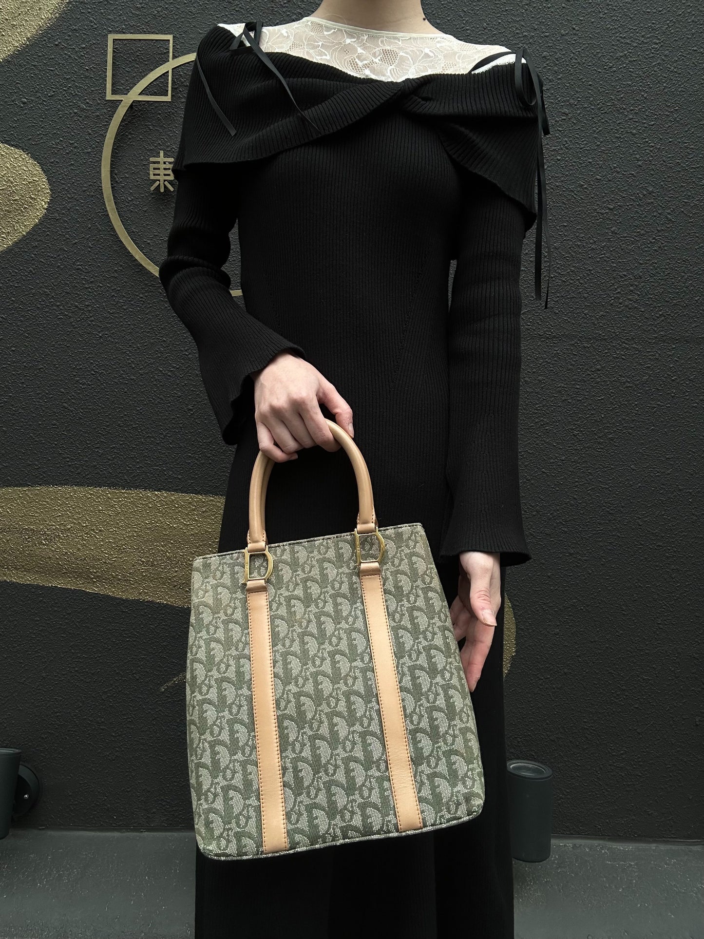DIOR  Trotter Handbag, Canvas, Khaki, Gold Hardware, Comes with 2 Authenticity Cards