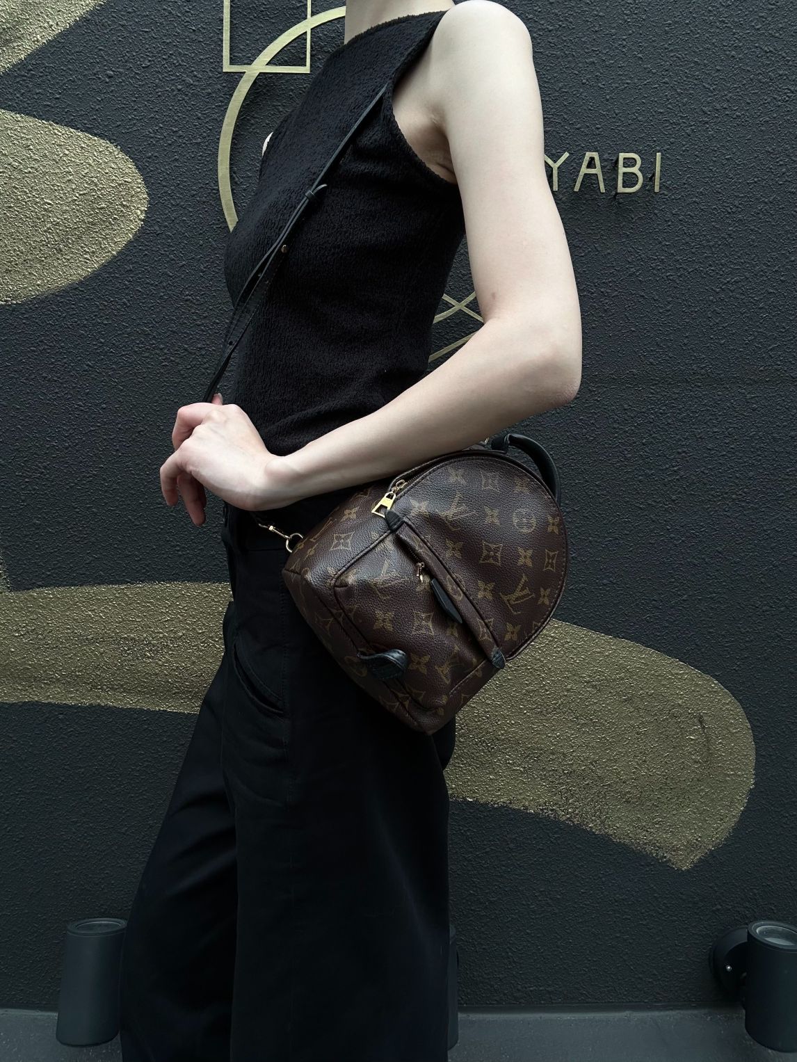 LOUIS VUITTON Palm Springs Monogram PVC Backpack Brown