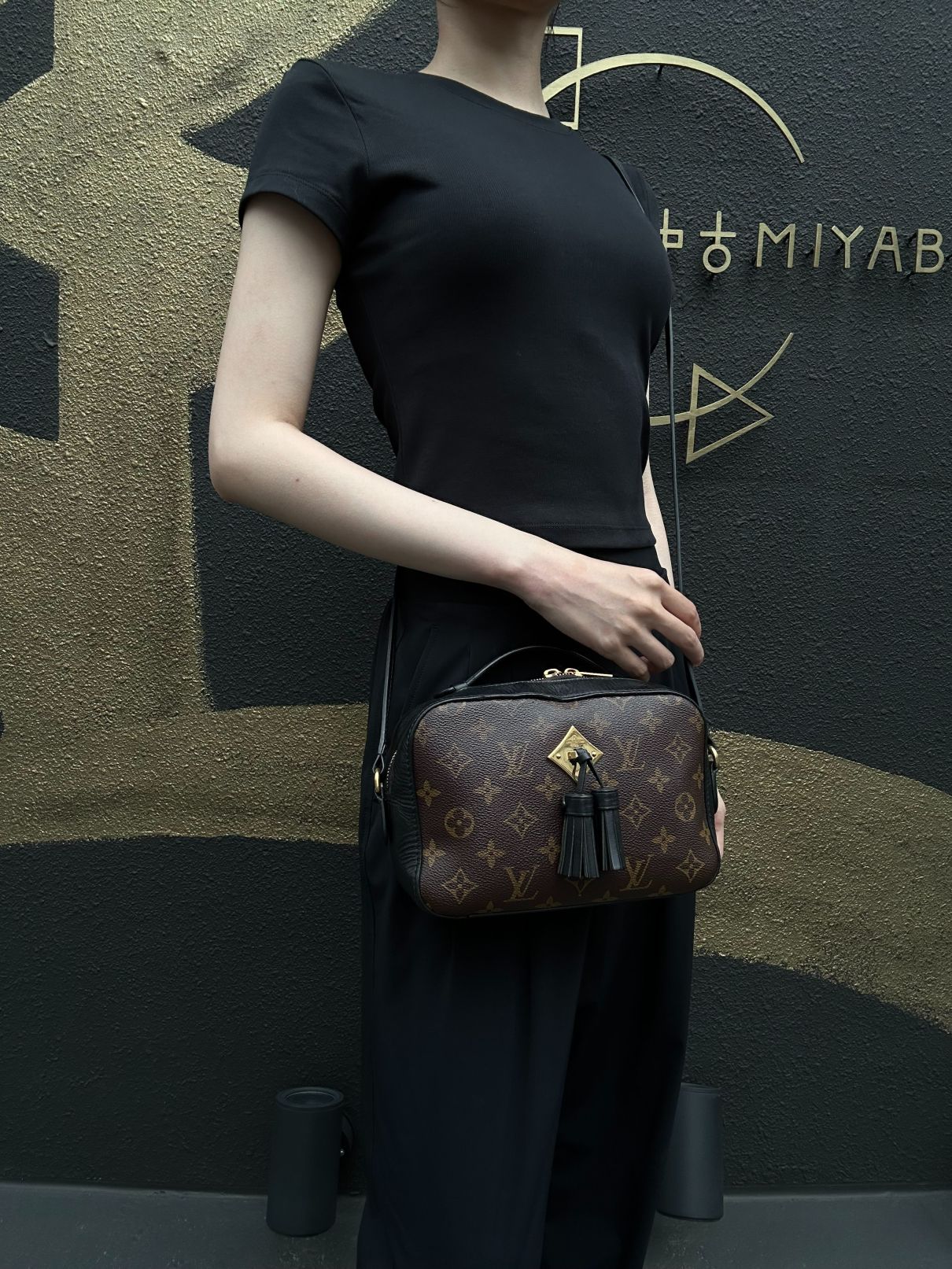 LOUIS VUITTON LV Saintonge Monogram Noir Tassel Camera Shoulder Bag Brown PVC