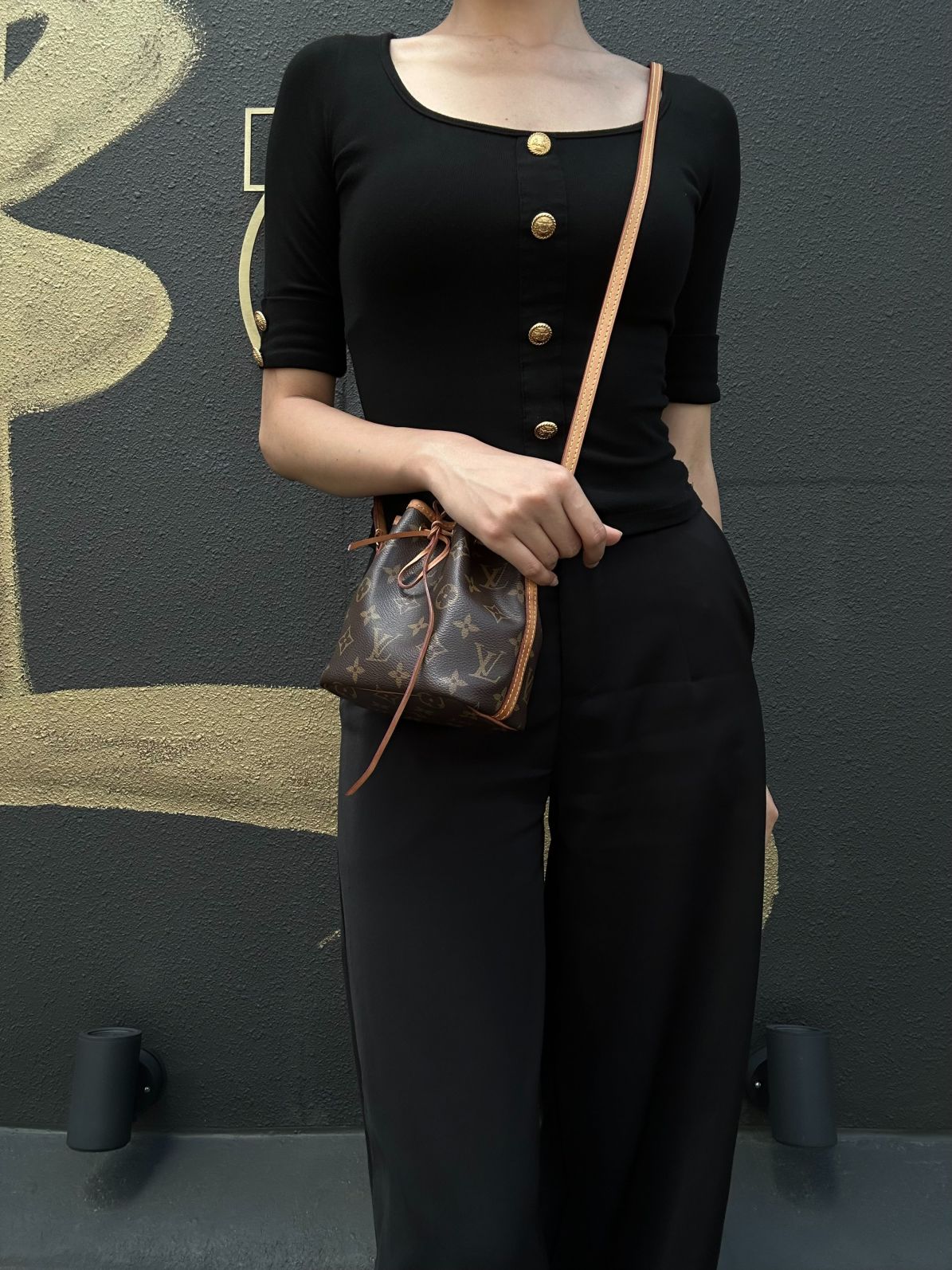 LOUIS VUITTON Monogram Canvas Brown Nano Noe Shumai Shape Shoulder Bag
