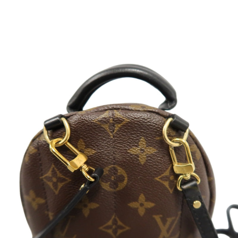 LOUIS VUITTON Palm Springs Monogram PVC Backpack Brown