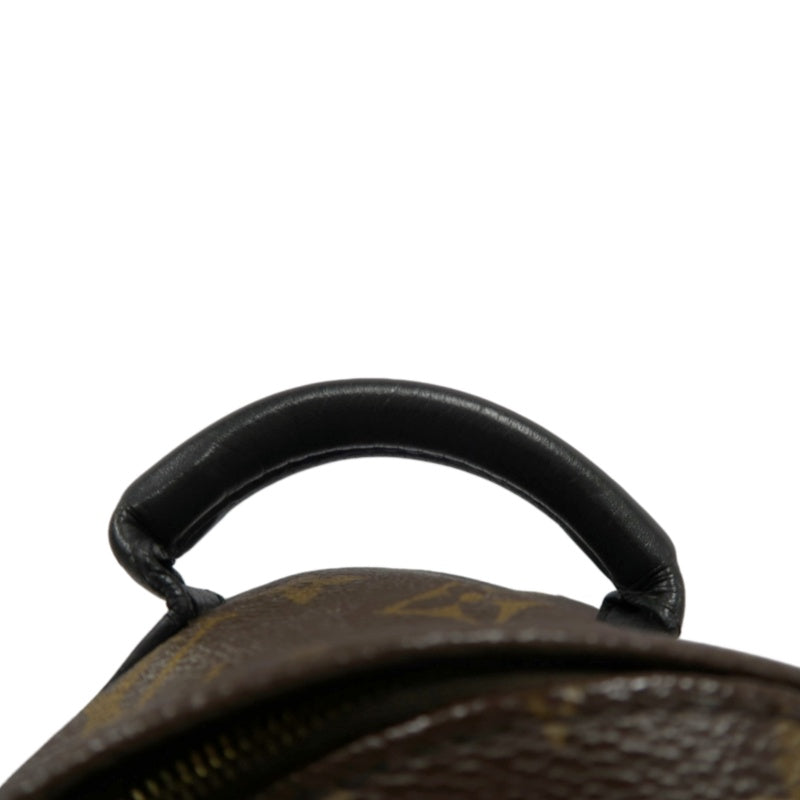 LOUIS VUITTON Palm Springs Monogram PVC Backpack Brown