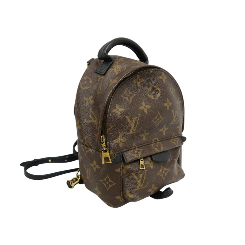 LOUIS VUITTON Palm Springs Monogram PVC Backpack Brown