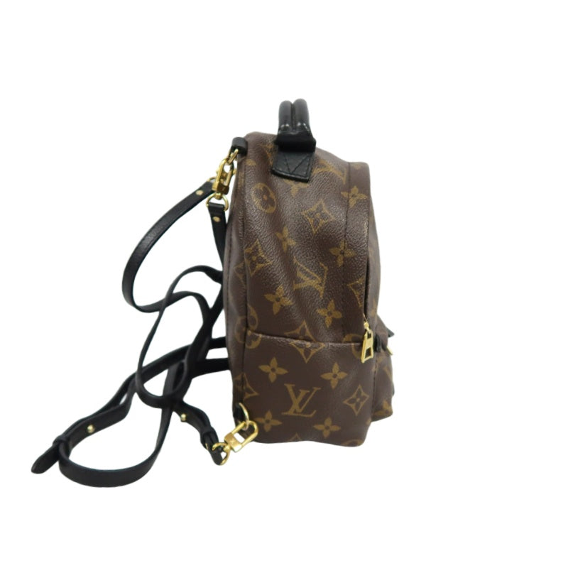 LOUIS VUITTON Palm Springs Monogram PVC Backpack Brown
