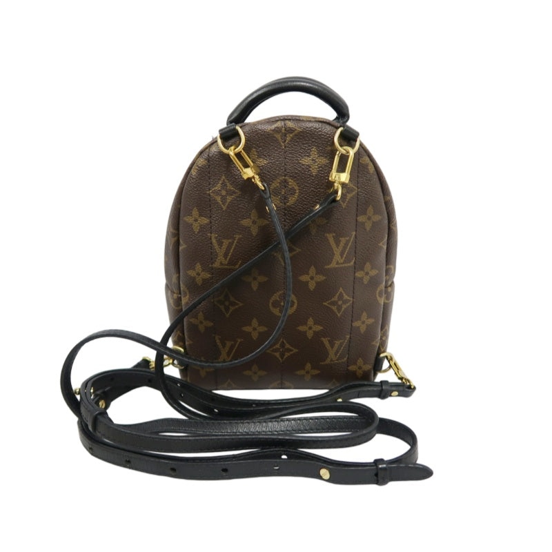 LOUIS VUITTON Palm Springs Monogram PVC Backpack Brown