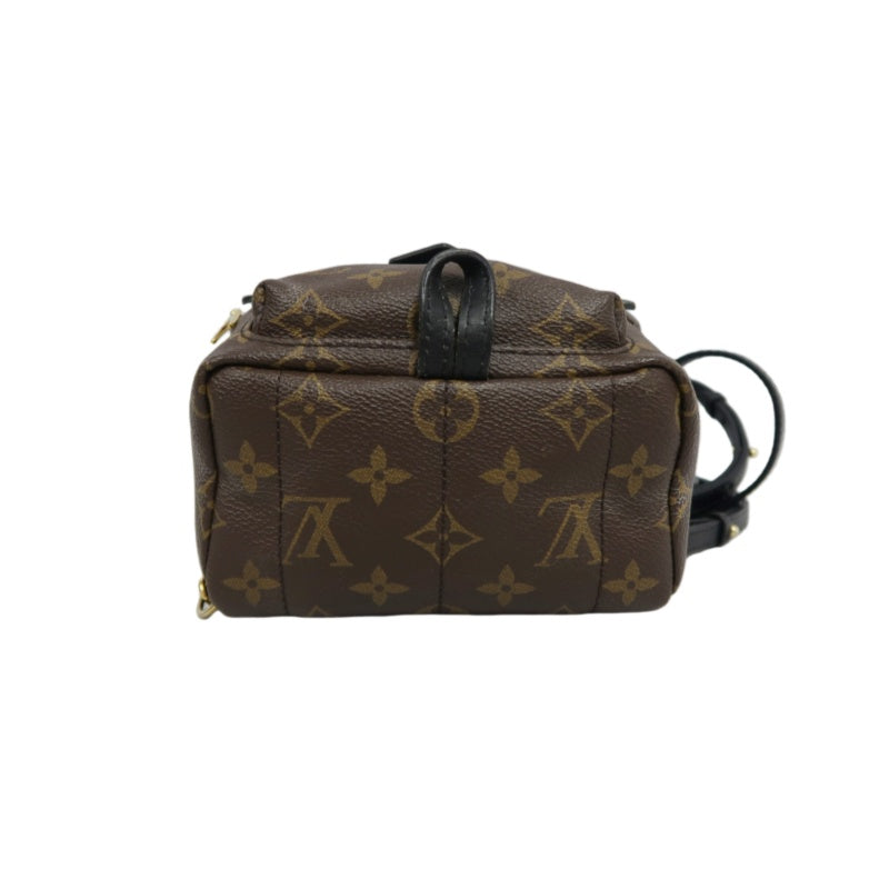 LOUIS VUITTON Palm Springs Monogram PVC Backpack Brown