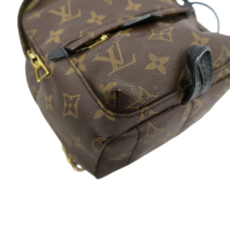 LOUIS VUITTON Palm Springs Monogram PVC Backpack Brown