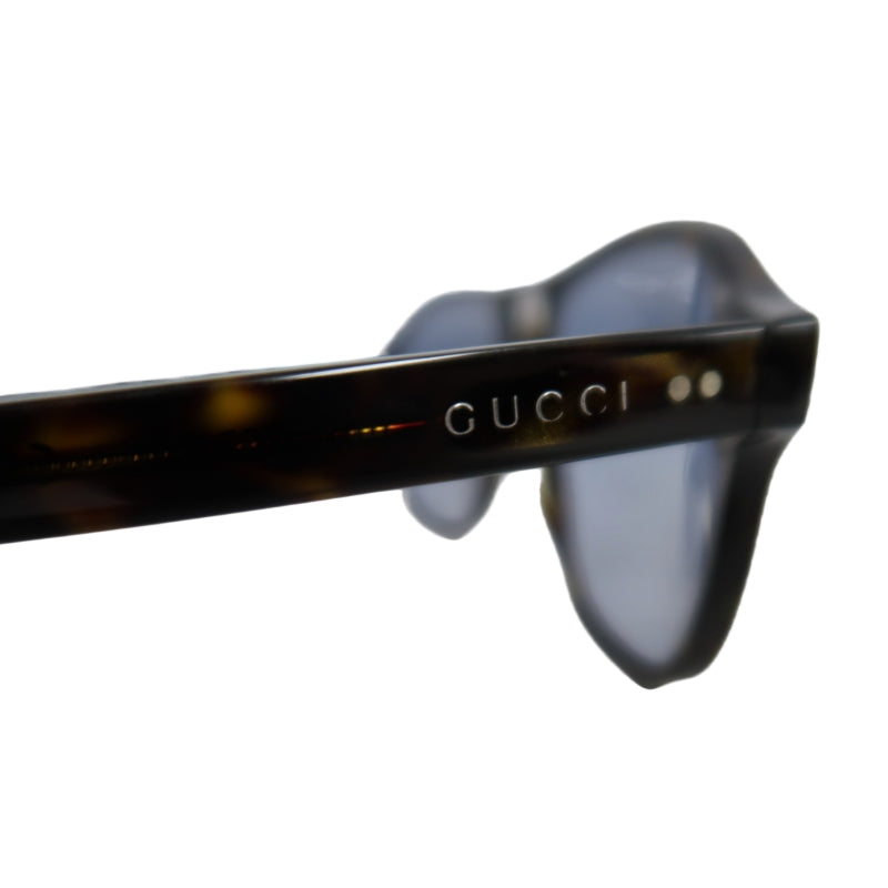 GUCCI Brown Resin Sunglasses, Comes With Original Case & Cleaning Cloth
