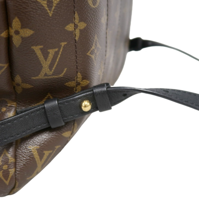 LOUIS VUITTON Monogram Canvas Brown Palm Springs Backpack