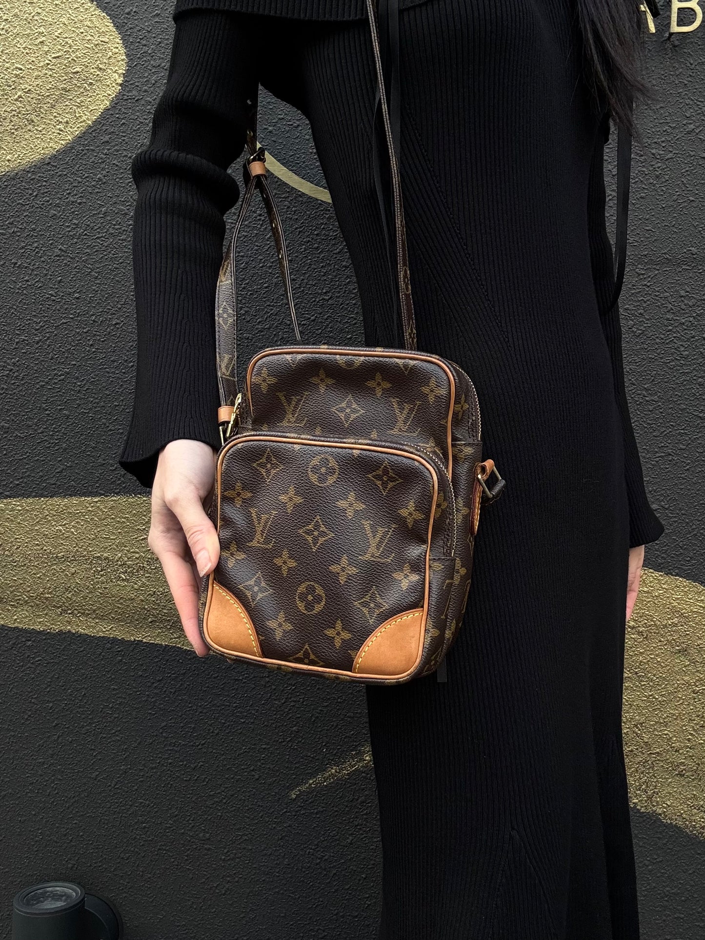 LOUIS VUITTON Amazon Monogram Shoulder Bag Brown LV Monogram PVC Vertical Camera Crossbody Bag