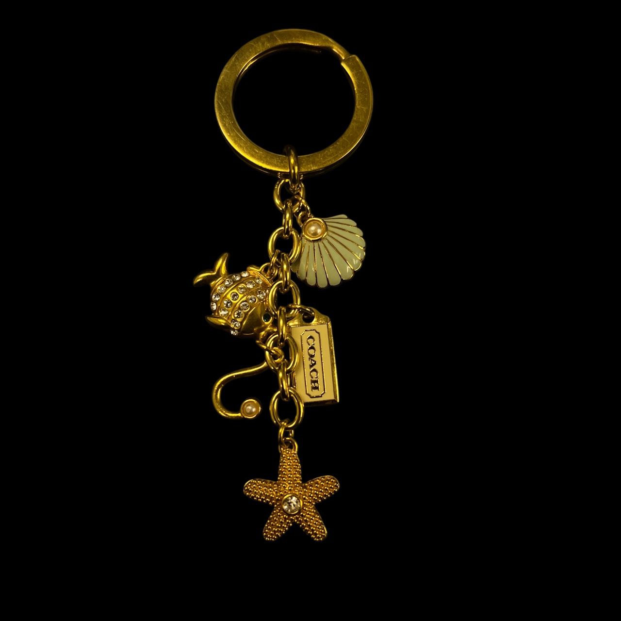 COACH fish charm key chain