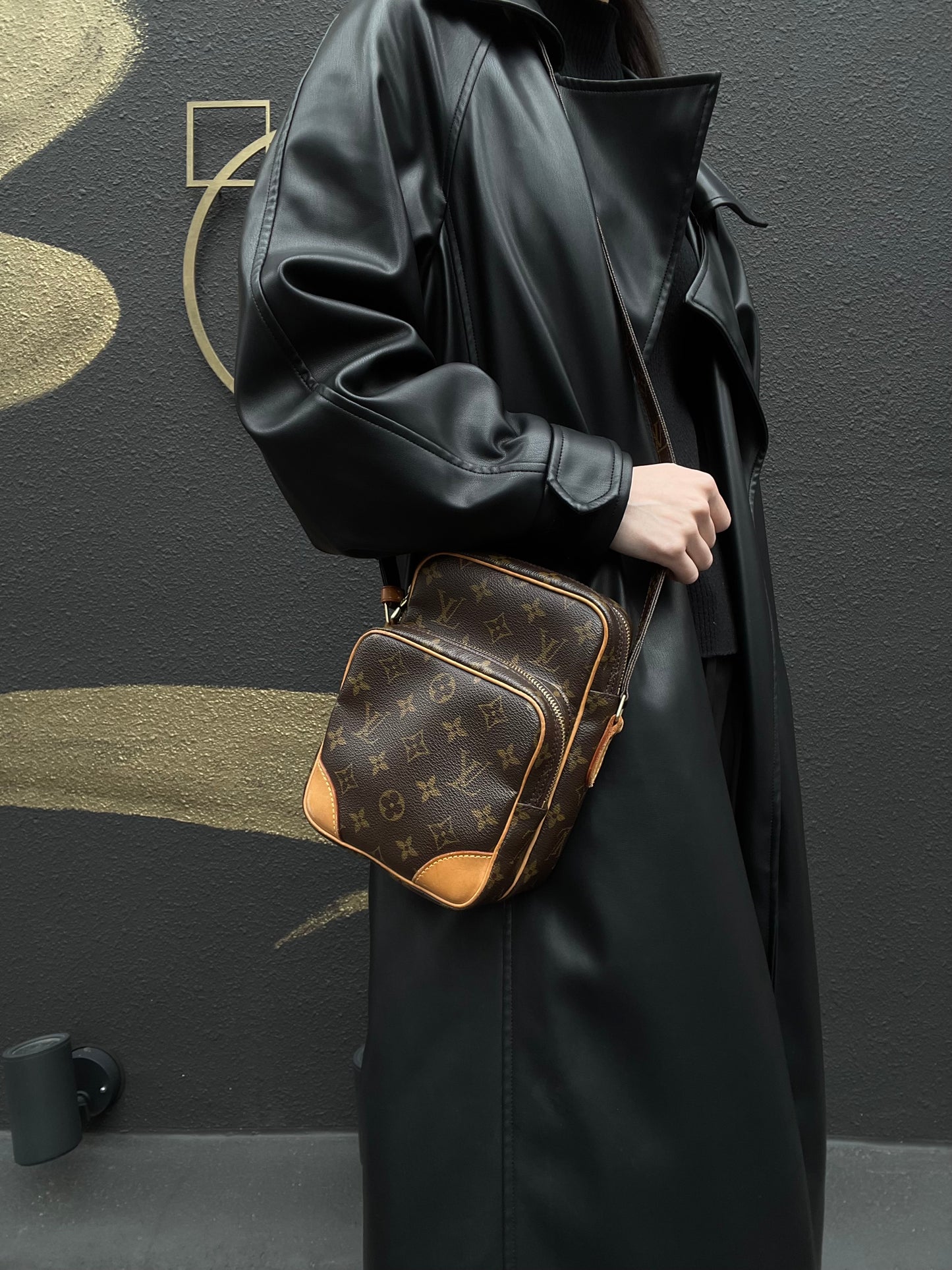 LOUIS VUITTON Monogram Amazon Shoulder Bag