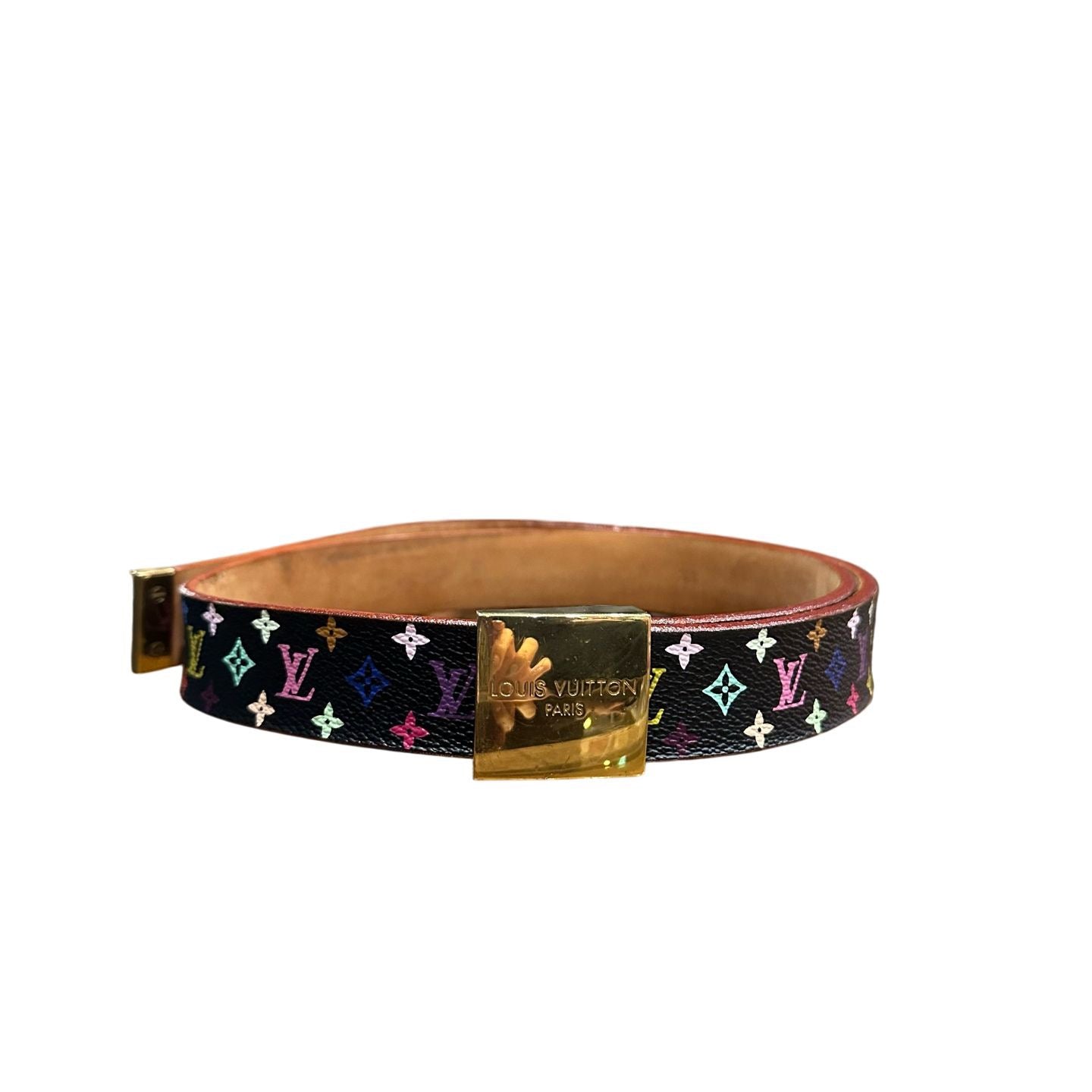 Louis Vuitton Multicolor Black Belt, Gold Hardware