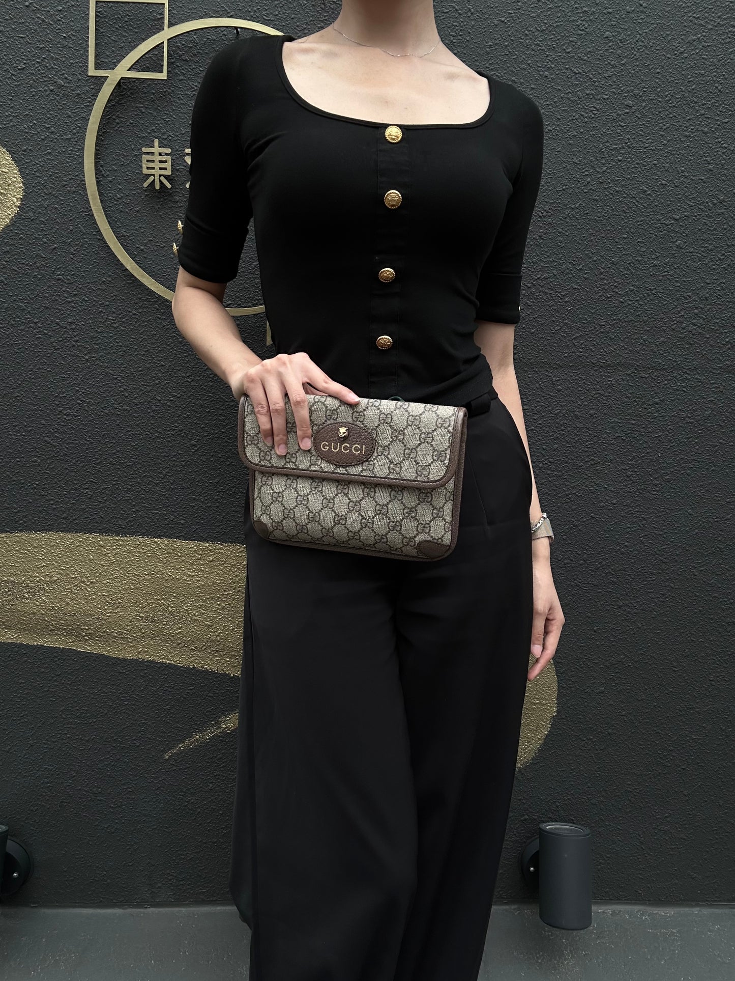 GUCCI GG Supreme PVC Camera Crossbody Bag Brown