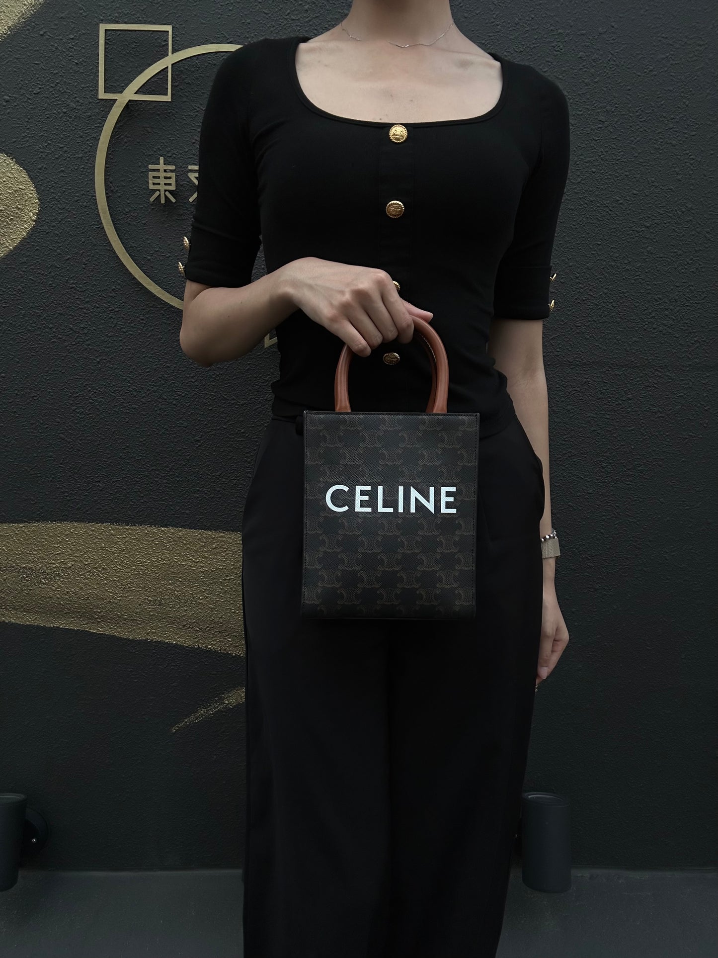 CELINE Triomphe Canvas Handbag Brown with Shoulder Strap