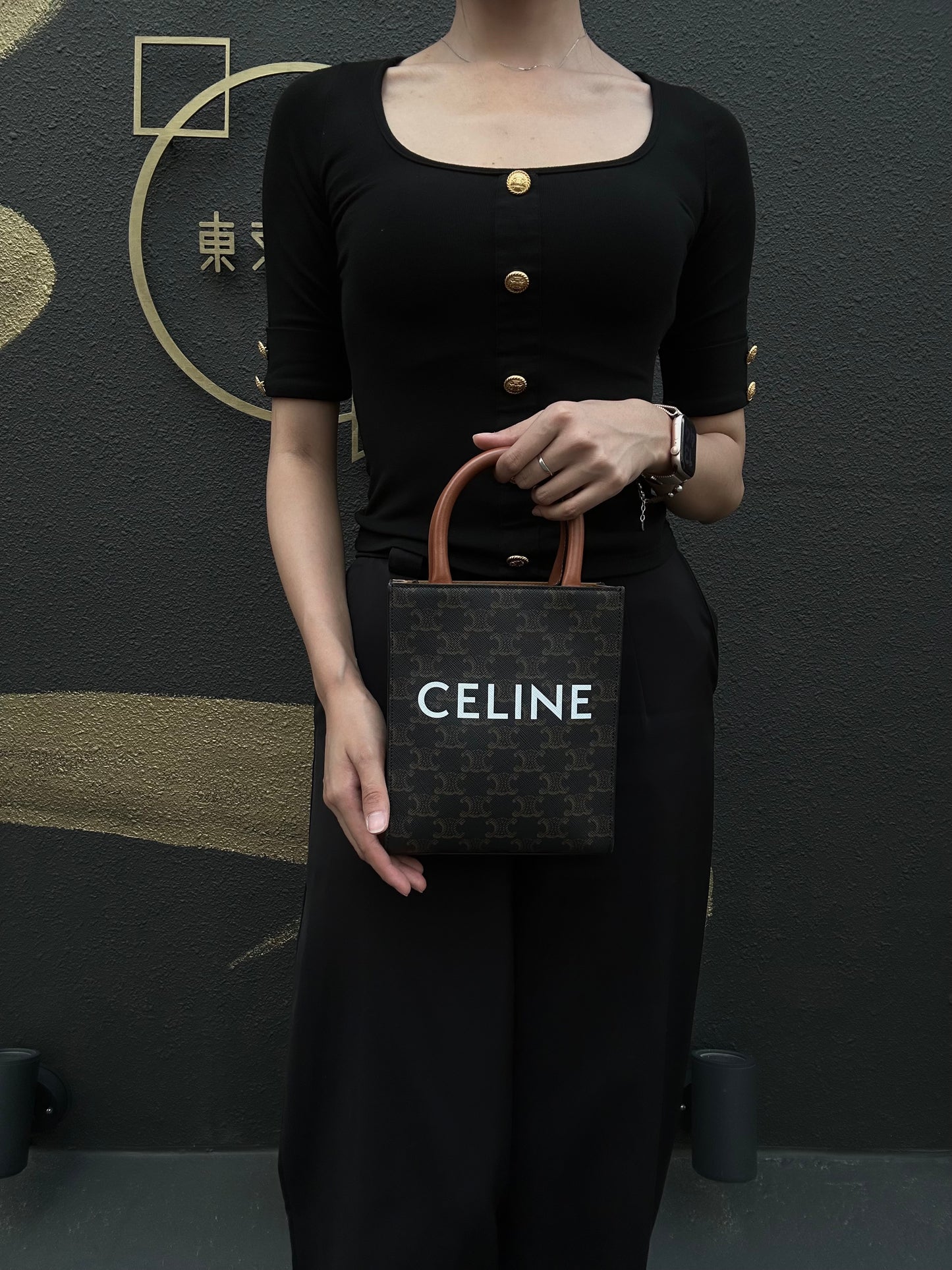 CELINE Triomphe Canvas Handbag Brown with Shoulder Strap