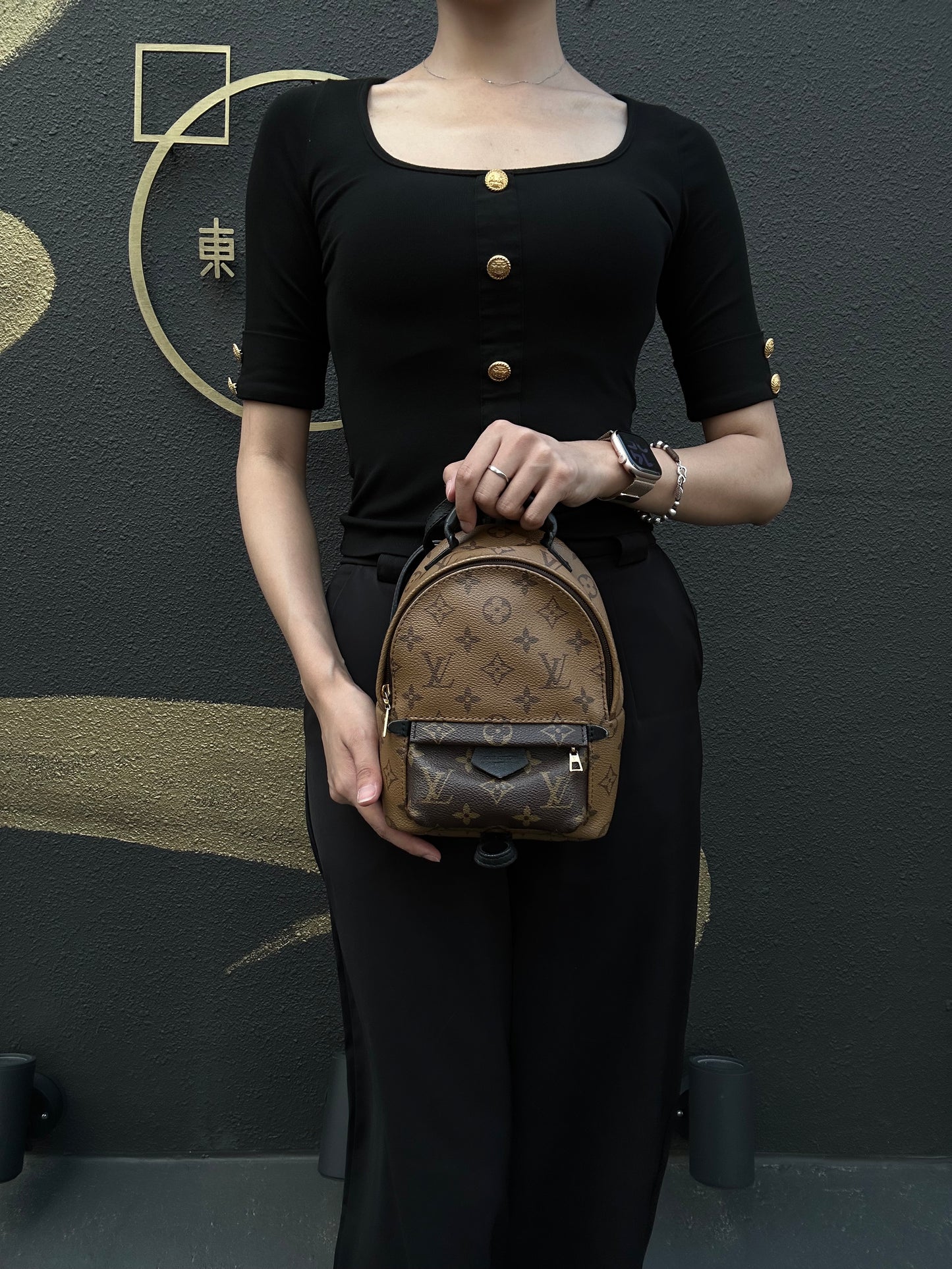 LOUIS VUITTON Reverse Monogram Palm Springs Pvc Backpack Brown Yellow Gold Hardware