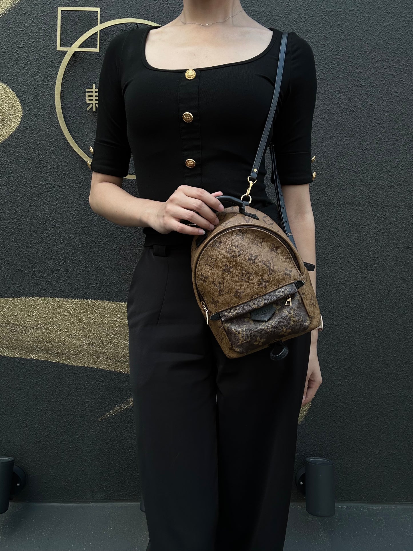 LOUIS VUITTON Reverse Monogram Palm Springs Pvc Backpack Brown Yellow Gold Hardware