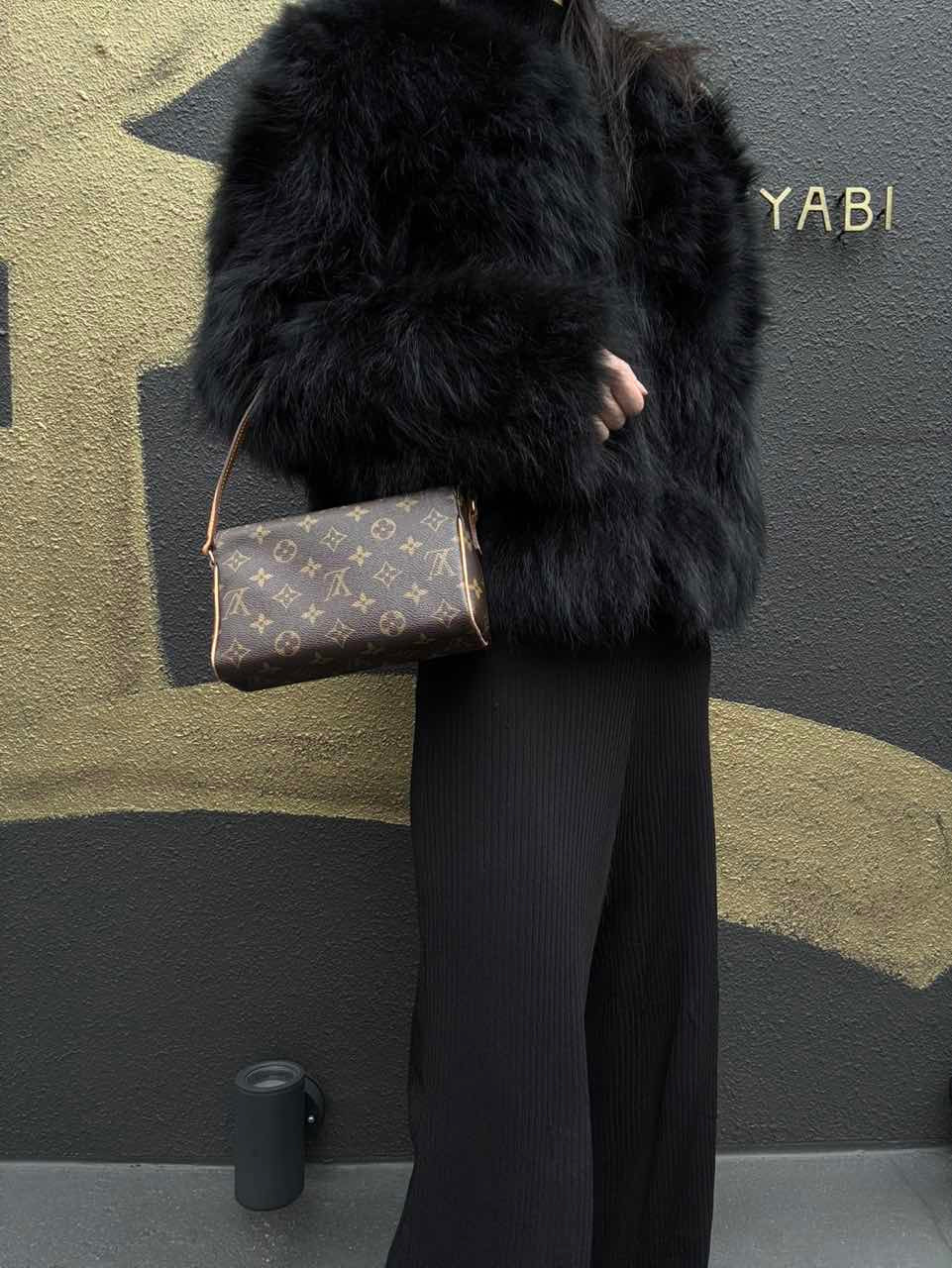 LOUIS VUITTON Monogram PVC Pochette Recital (Beisong Box / Underarm Bag)